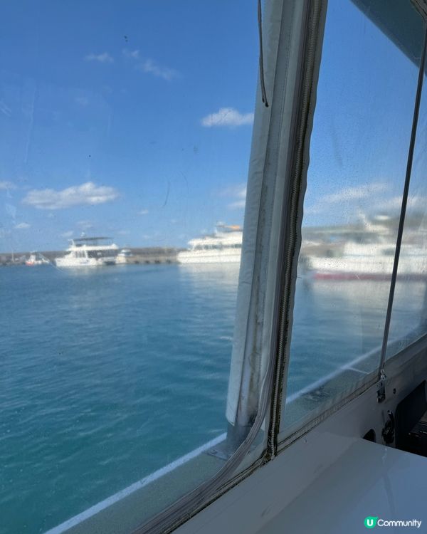 ## 冬遊日本❄️🌊 潛水賞鯨🐳