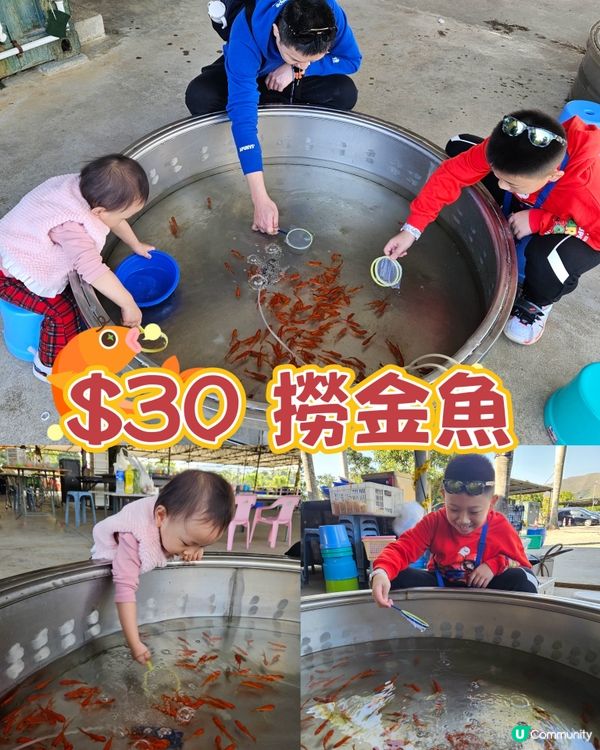 香港親子遊🍓☀️  摘士多啤梨、扒蕃薯，玩轉農莊！