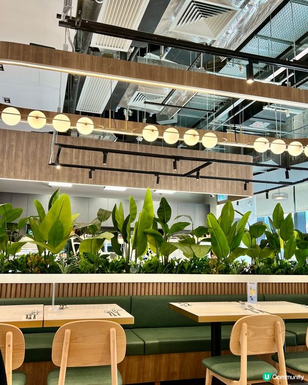 早餐推介Grove Cafe｜嘆咖啡抹茶牛奶｜啟德零售館