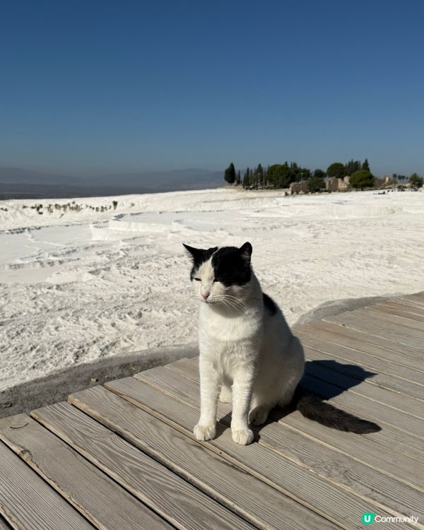 土耳其的雪白世界-棉花堡 Pamukkale
