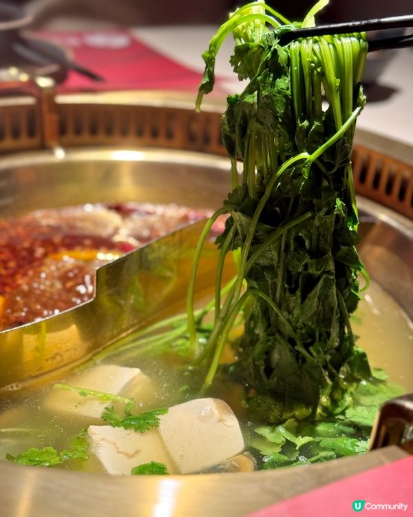 高檔川菜火鍋🍲 劉一手重慶火鍋放題