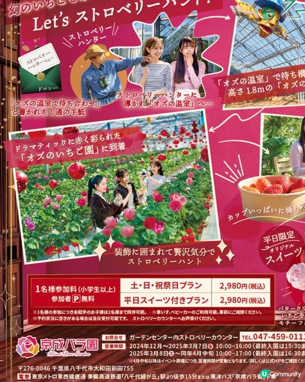 【綠野仙蹤主題】優雅地做士多啤梨Hunter🔱打卡位滿滿❣️