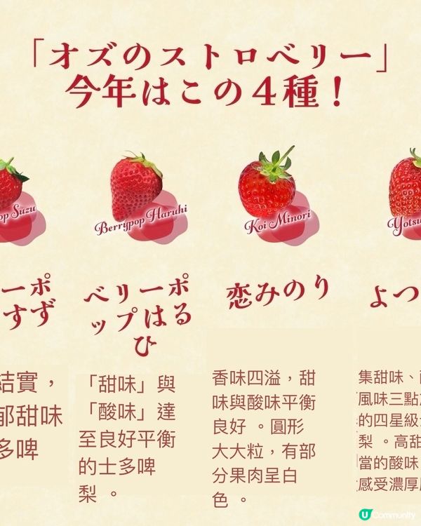 【綠野仙蹤主題】優雅地做士多啤梨Hunter🔱打卡位滿滿❣️