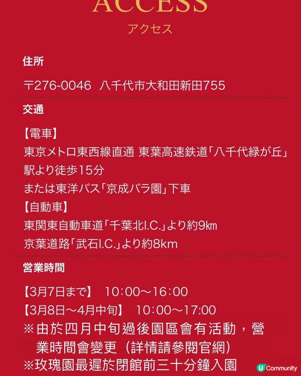 【綠野仙蹤主題】優雅地做士多啤梨Hunter🔱打卡位滿滿❣️