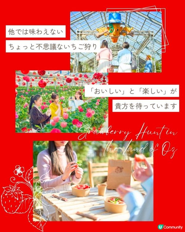 【綠野仙蹤主題】優雅地做士多啤梨Hunter🔱打卡位滿滿❣️