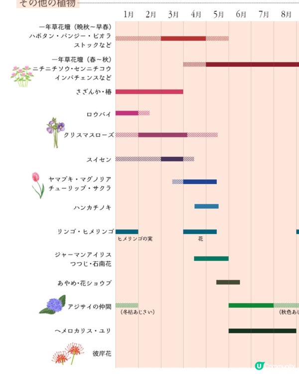 【綠野仙蹤主題】優雅地做士多啤梨Hunter🔱打卡位滿滿❣️