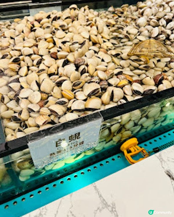 海鮮自己揀 ~ 千海水產海鮮火鍋放題