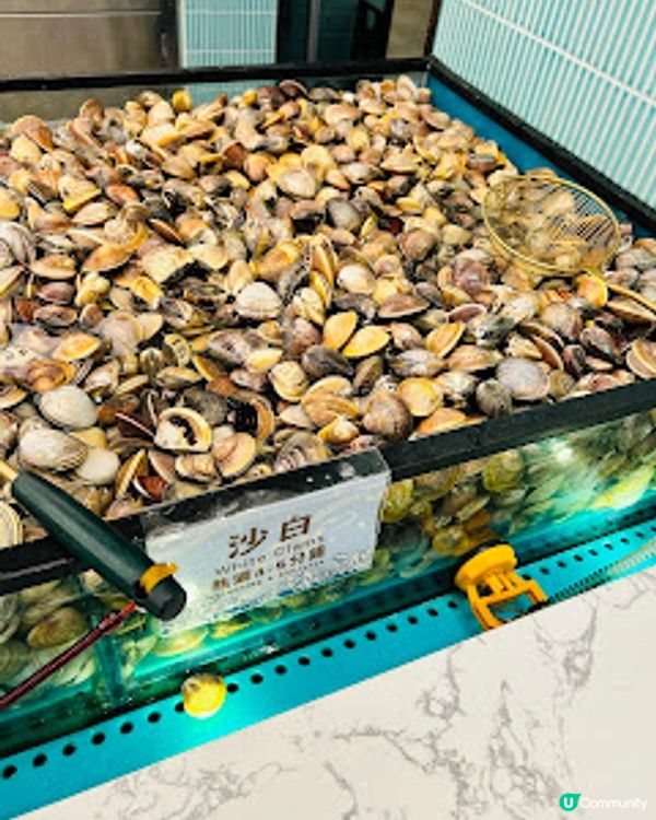 海鮮自己揀 ~ 千海水產海鮮火鍋放題