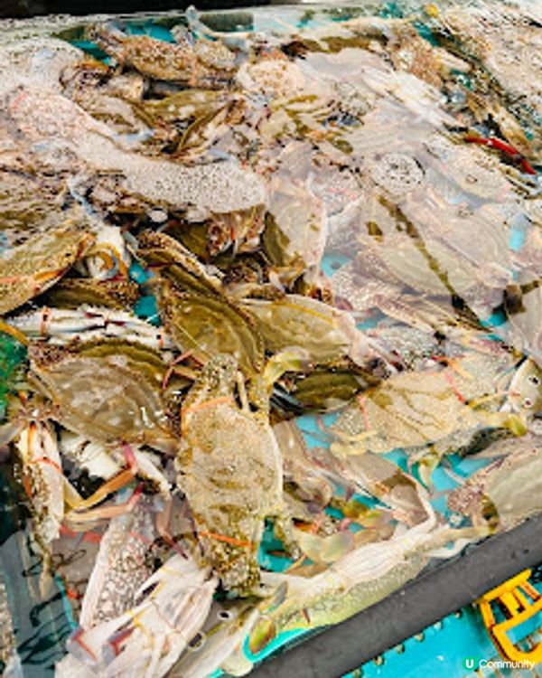 海鮮自己揀 ~ 千海水產海鮮火鍋放題