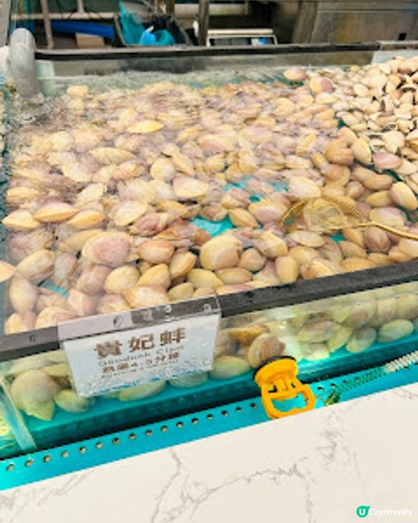 海鮮自己揀 ~ 千海水產海鮮火鍋放題