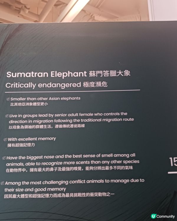 🎀🎀蘇門答臘美術館🎀🎀