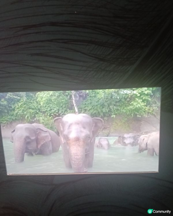 🎀🎀蘇門答臘美術館🎀🎀