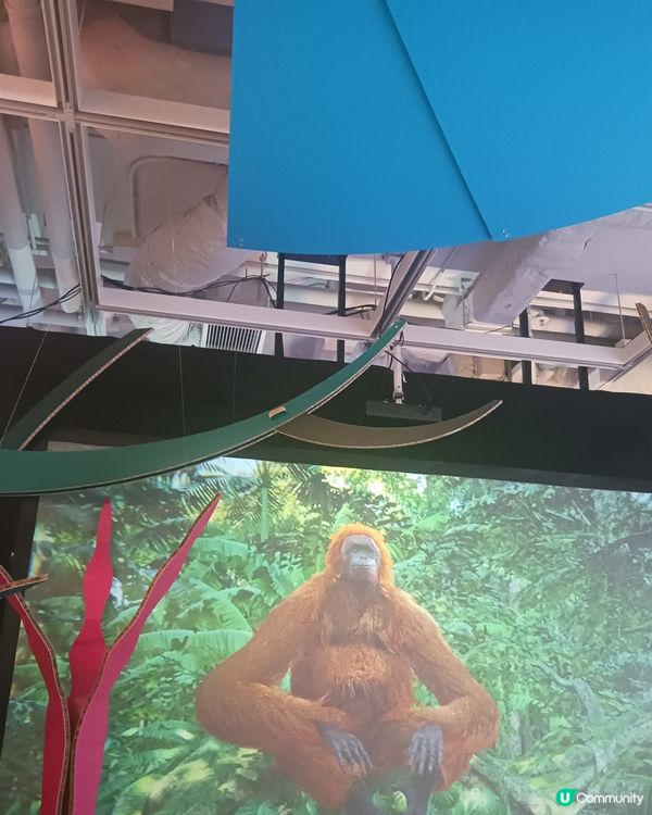 🎀🎀蘇門答臘美術館🎀🎀