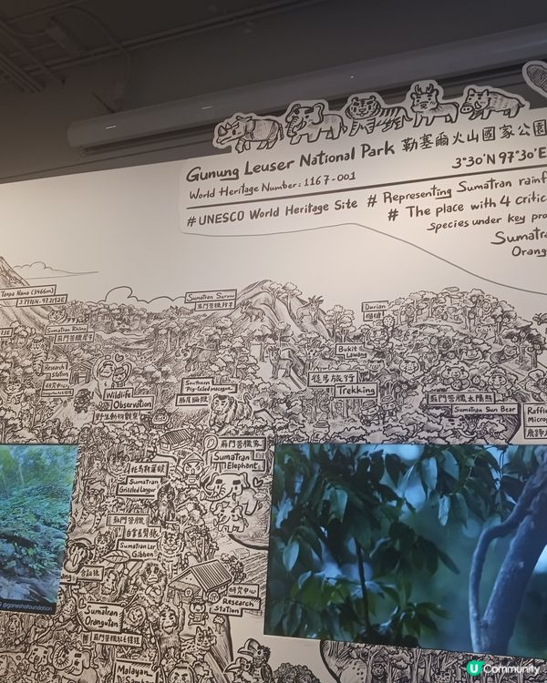 🎀🎀蘇門答臘美術館🎀🎀