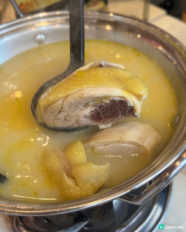 【🐤癡膠雞｜🔥暖笠笠嘅選擇】