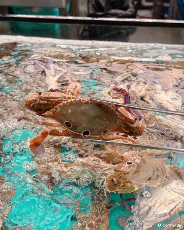 仼撈海鮮的火鍋放題😍