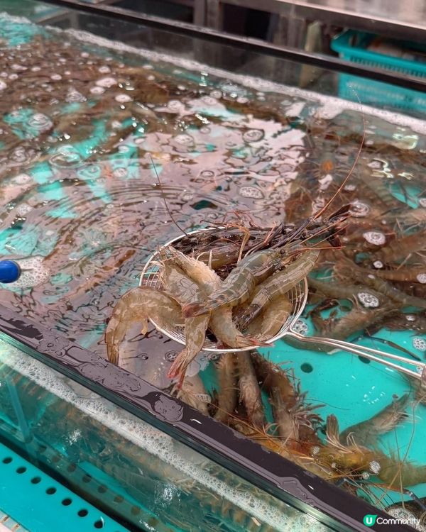 仼撈海鮮的火鍋放題😍