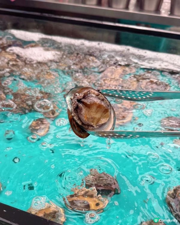 仼撈海鮮的火鍋放題😍