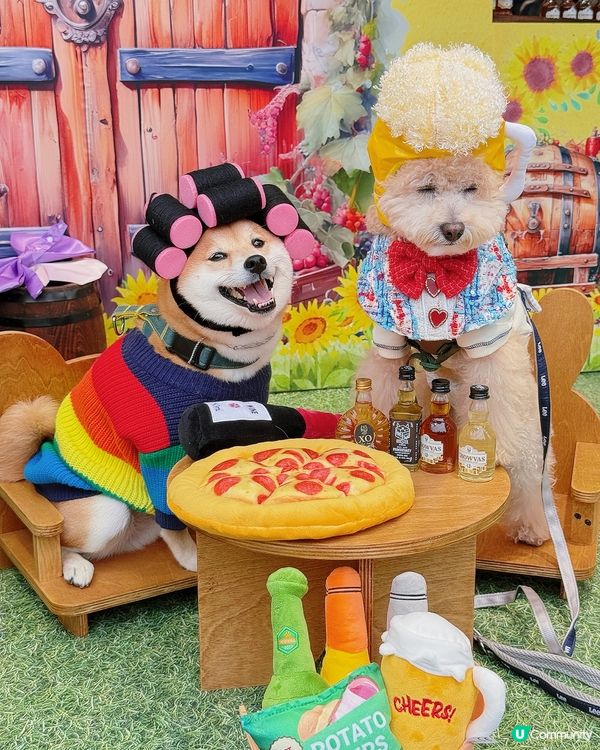 🐶🥂北角匯毛孩約會！