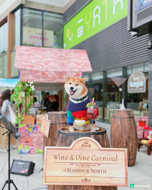 🐶🥂北角匯毛孩約會！