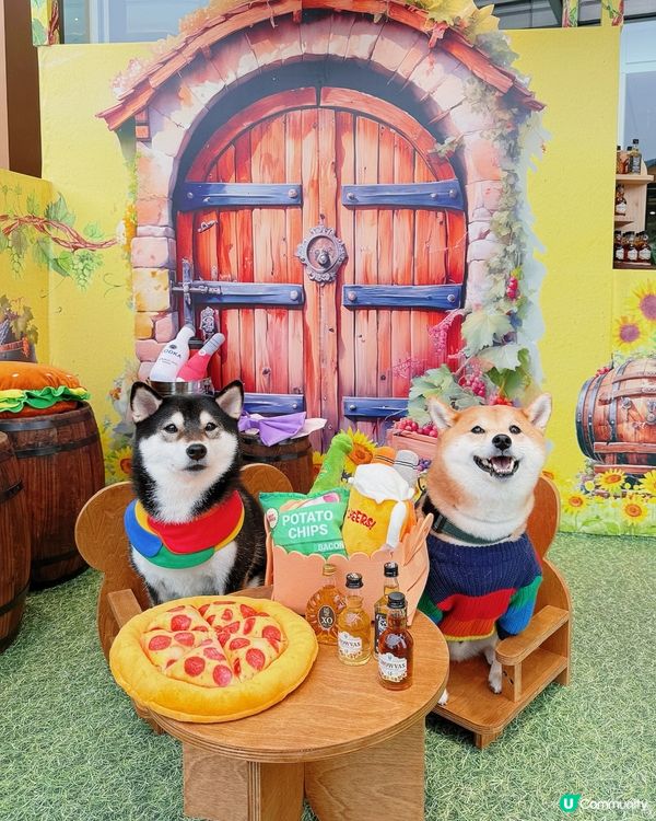 🐶🥂北角匯毛孩約會！