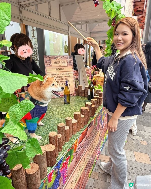 🐶🥂北角匯毛孩約會！