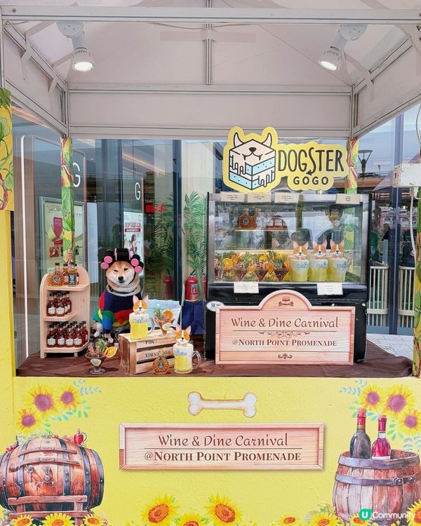 🐶🥂北角匯毛孩約會！