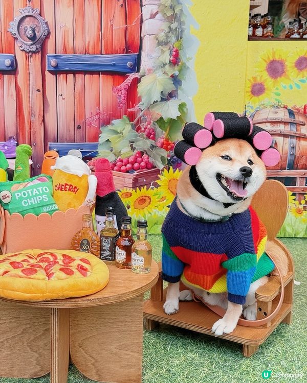 🐶🥂北角匯毛孩約會！