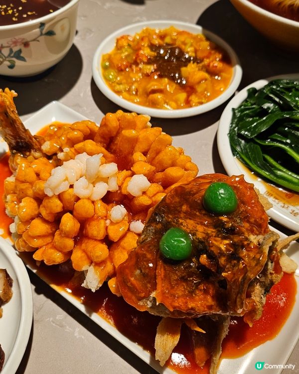 深圳松鼠魚打卡 🐿️😋