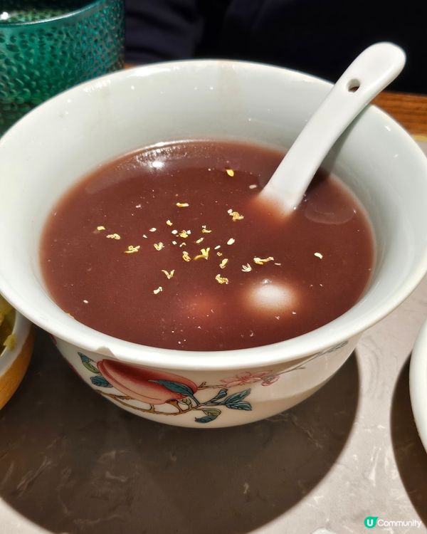 深圳松鼠魚打卡 🐿️😋