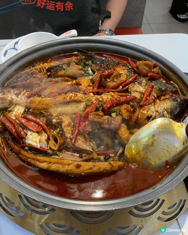 最喜愛去深圳開了很多年及食烤魚始祖連鎖店：探魚。環境有格調及...