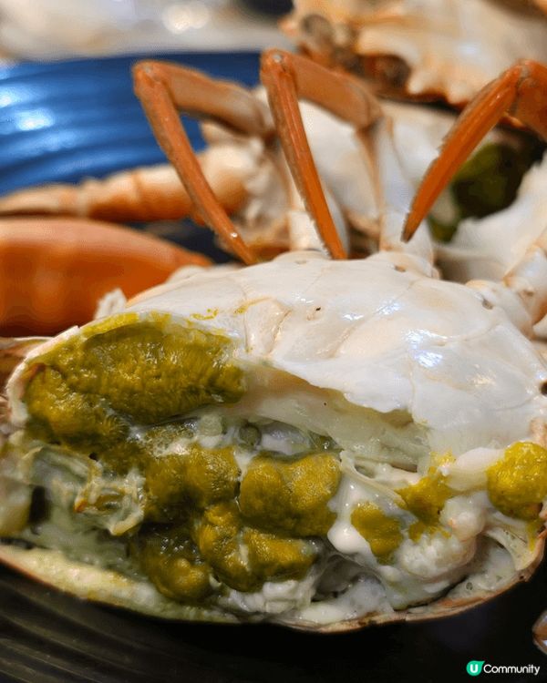 蟹仙蒸氣火鍋-海鮮新鮮！無論是清蒸或是刺身，都能感受到滿滿的...