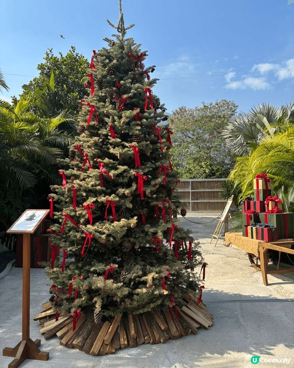 The Hideout 大嶼山梅窩銀礦灣路, 香港世外桃源,...