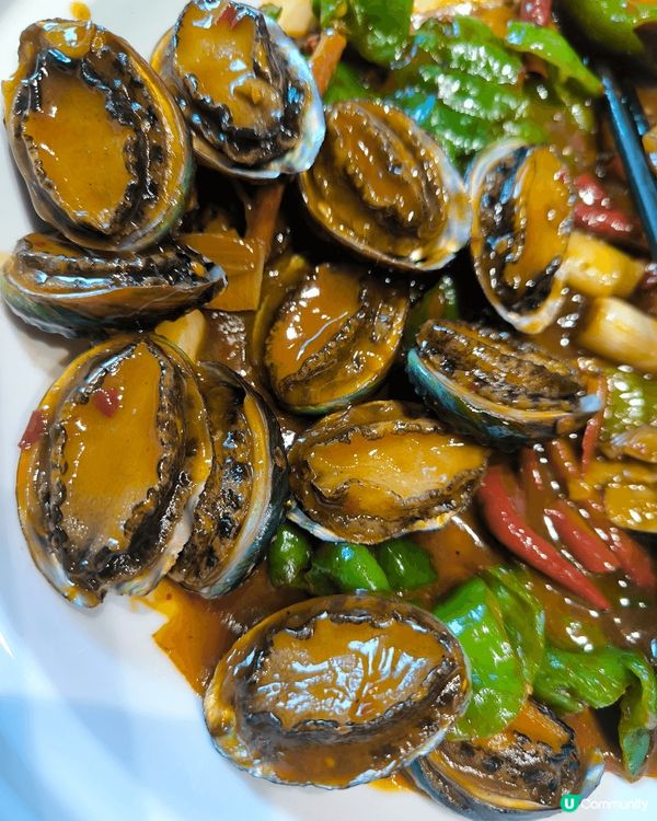 照片中展現了過去幾個月打卡世界各地美食。有青島鮑魚，大連海膽...