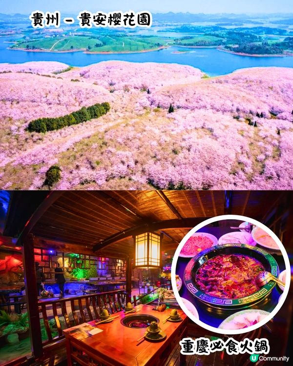 中國2025全年最佳旅遊月份/景點推介🗺️70萬株櫻花樹/夢幻極光/冰雪王國‼️