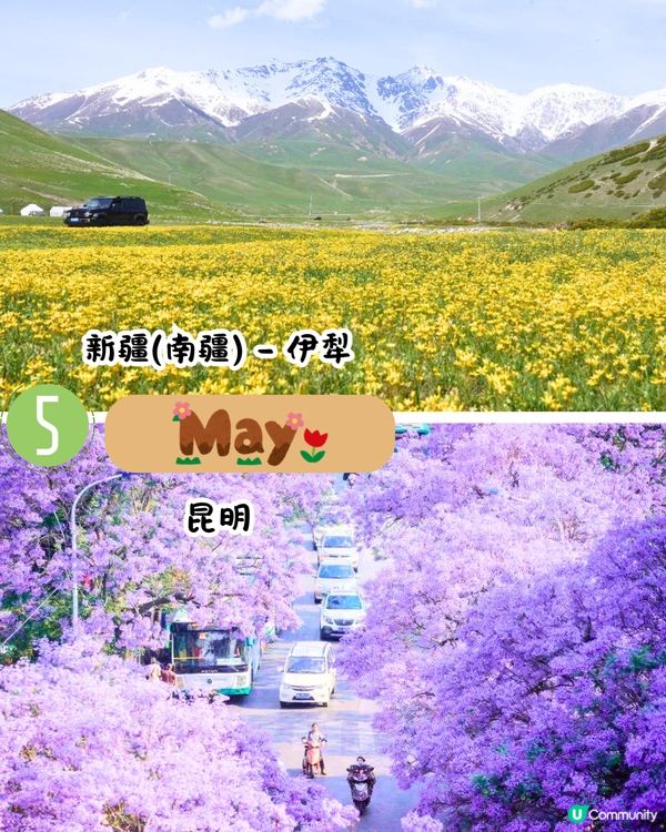 中國2025全年最佳旅遊月份/景點推介🗺️70萬株櫻花樹/夢幻極光/冰雪王國‼️