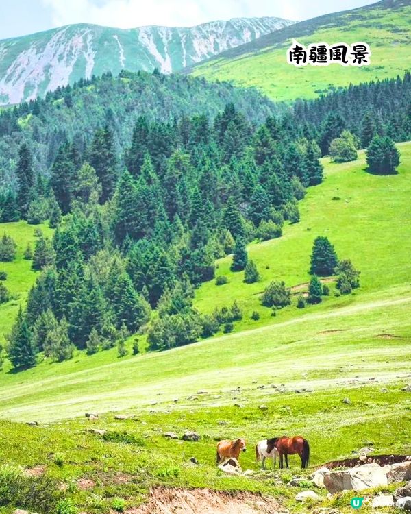 中國2025全年最佳旅遊月份/景點推介🗺️70萬株櫻花樹/夢幻極光/冰雪王國‼️