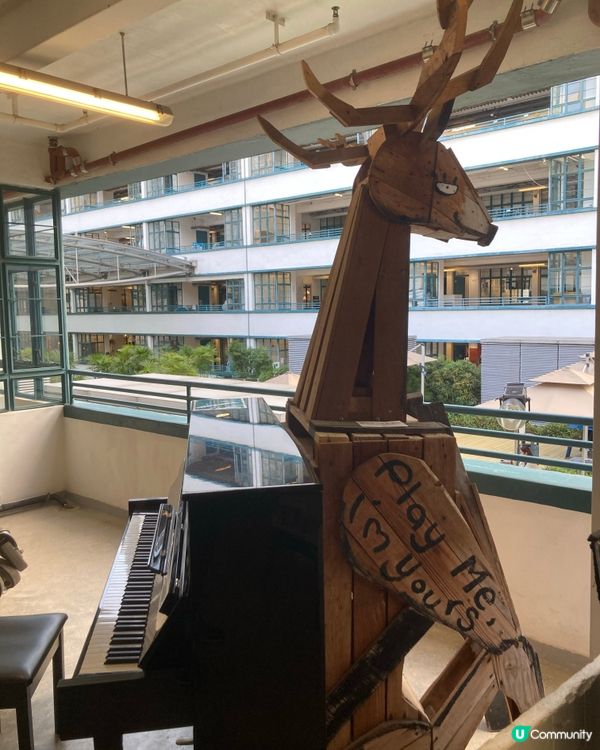 上環尋寶之旅 🚶‍♀️✨