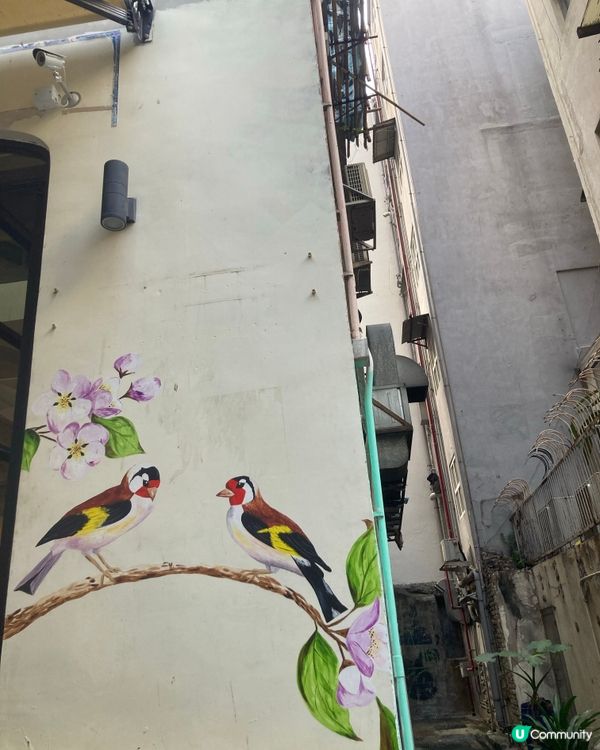 上環尋寶之旅 🚶‍♀️✨