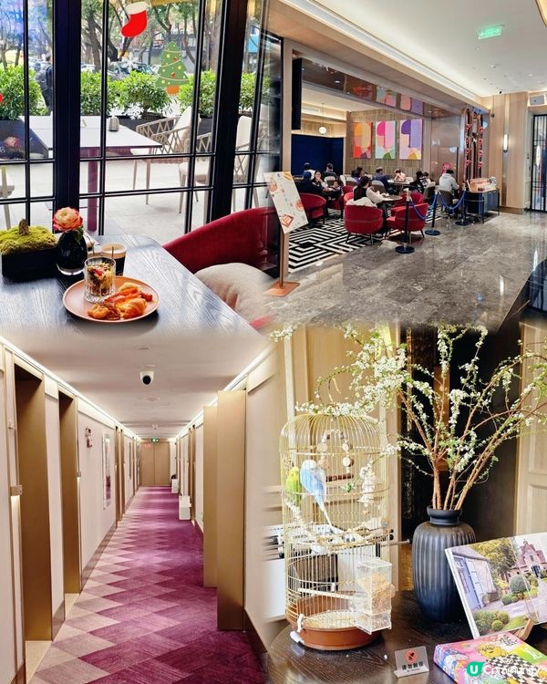 ✨️人均$200入住南頭古城—漫心酒店🍽