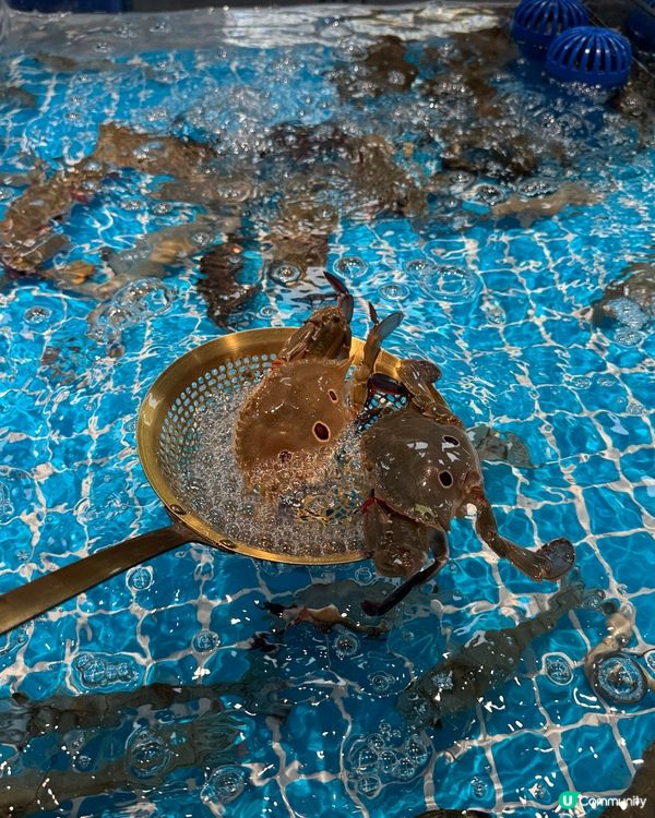 曼格活海鮮·榴槤自助🦀 $199吃到飽