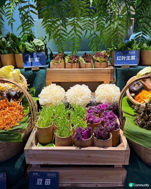 曼格活海鮮·榴槤自助🦀 $199吃到飽