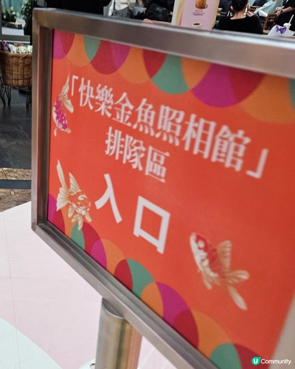 魚樂漣年 美好印記 朗豪坊