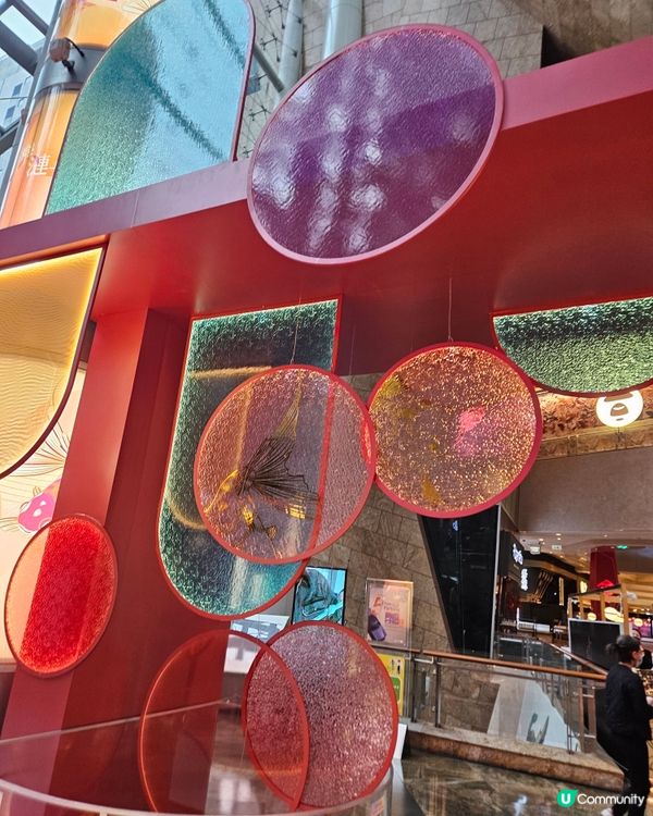 魚樂漣年 美好印記 朗豪坊