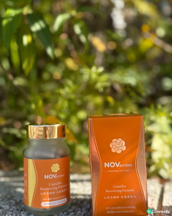 濕氣重？肚腩脹？😩  草本去濕，輕盈過冬！❄️