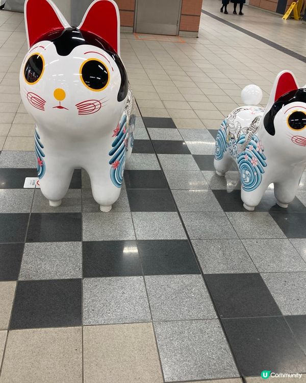 沙田第一城，重拾青春回憶 🐶🏫