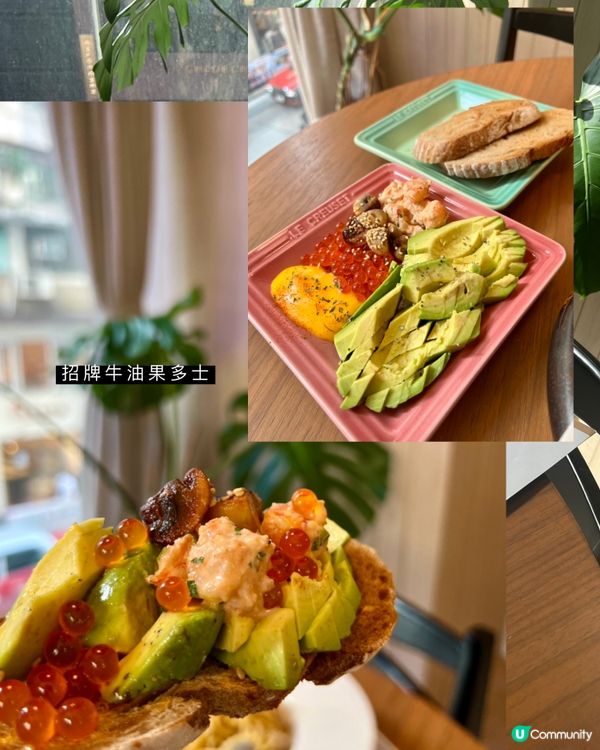 中環｜Citywalk👒特大陽光感窗戶✨🌻｜飽覽中環城市景觀