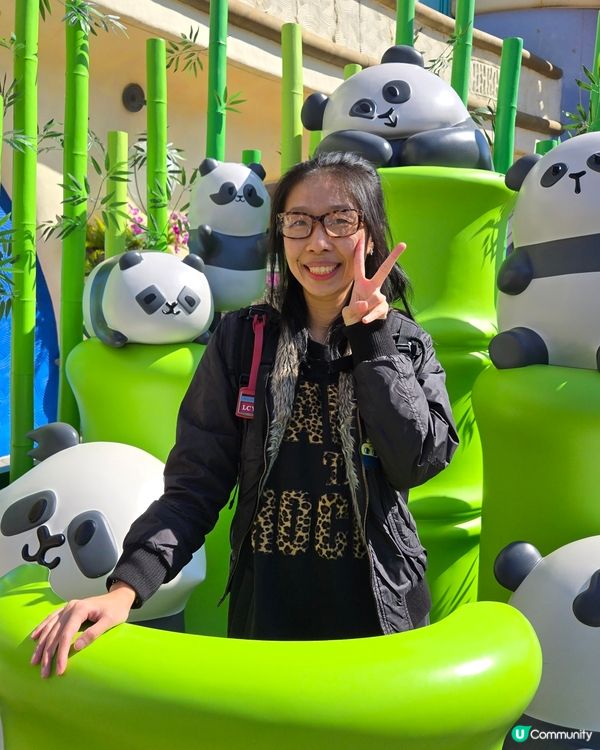 海洋公園🐼大熊貓竹夢之旅