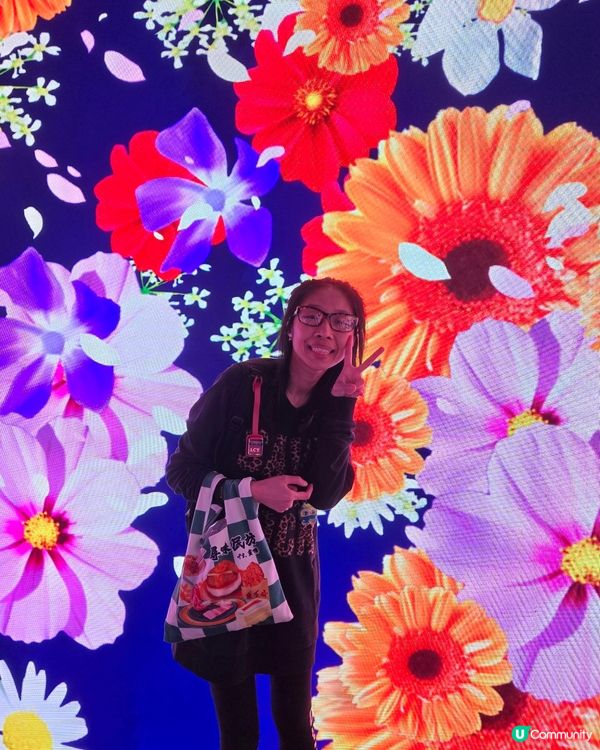 海洋公園🐼大熊貓竹夢之旅