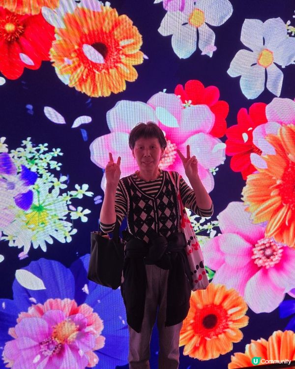 海洋公園🐼大熊貓竹夢之旅